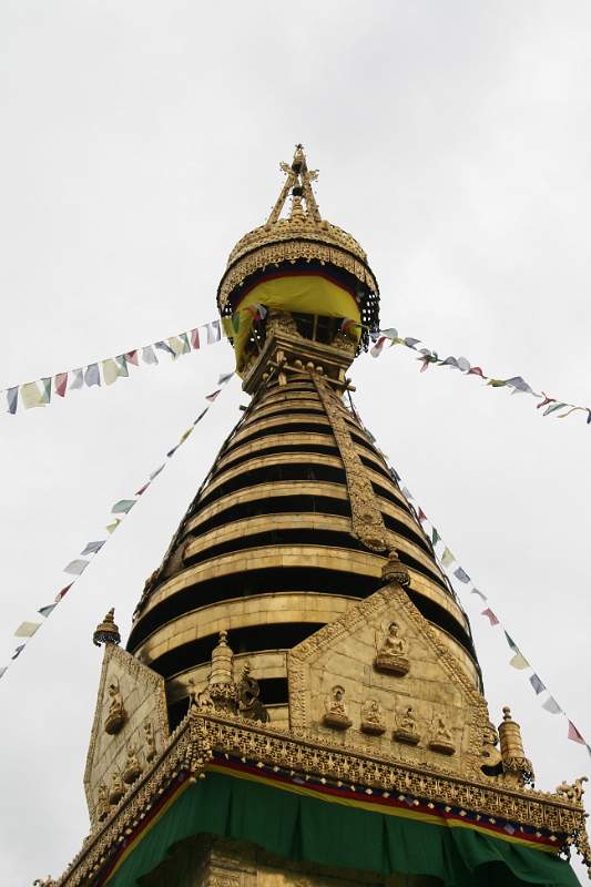 India & Nepal 2011 - 0384